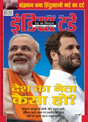 India Today Hindi-6th February 2013