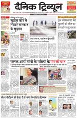 Dainik Tribune (Rohtak Edition)
