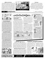 Warangal Constituencies