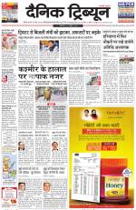 Dainik Tribune (Rohtak Edition)