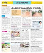 Krishna Constituencies