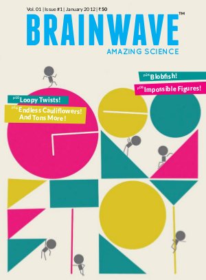 Jan 2012 - Groovy Geometry