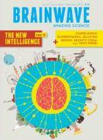 Brainwave Magazine