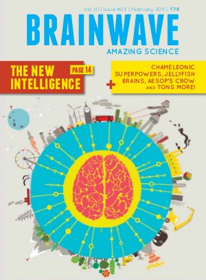 Feb 2011 - The New Intelligence