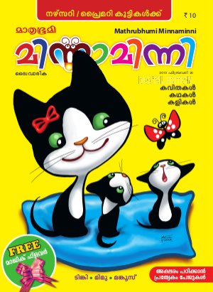 Minnaminni-2013 February 20