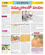 Krishna Constituencies