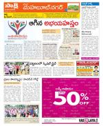 Mahabubnagar Constituencies