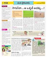 Krishna Constituencies