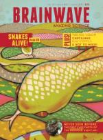 Brainwave Magazine