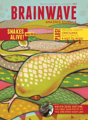 June 2011 - Snakes Alive