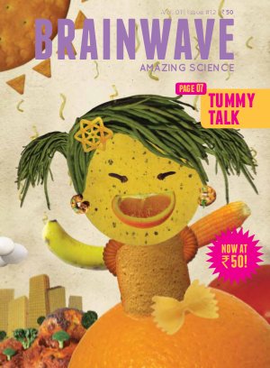 Nov 2011 - Tummy Talk