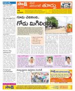 Warangal City Constituencies