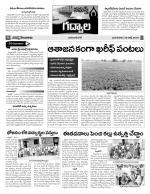 Mahaboobnagar Constituencies