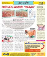 Kurnool Constituencies