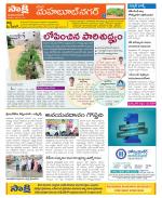 Mahabubnagar Constituencies