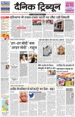 Dainik Tribune (Rohtak Edition)