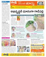 Warangal City Constituencies