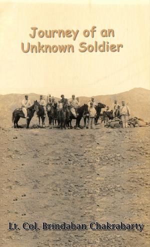 Journey of an Unknown Soldier