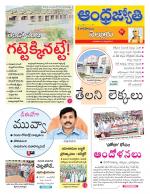 Nellore District