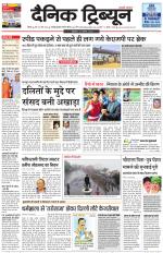 Dainik Tribune (Rohtak Edition)
