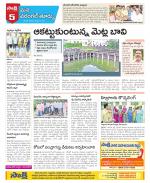 Warangal City Constituencies