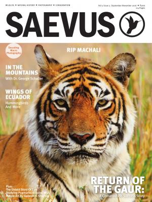 SAEVUS SEPTEMBER-NOVEMBER 2016