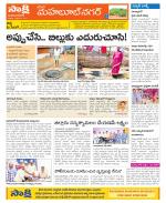 Mahabubnagar Constituencies