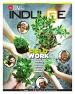 Indulge - Chennai