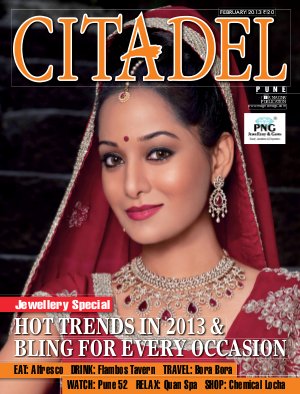 CITADEL FEBRUARY 2013