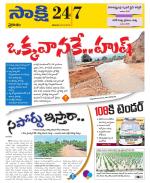 Prakasam District
