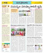 Krishna Constituencies