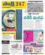 Mahabubnagar District