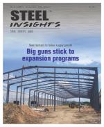 Steel Insights