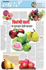 Dainik Tribune (Lehrein)