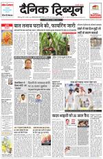 Dainik Tribune (Rohtak Edition)