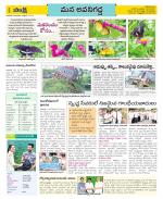 Vijayawada City Constituencies