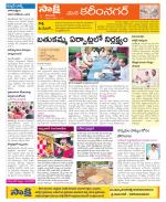 Karimnagar Constituencies