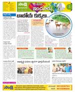 Nizamabad Constituencies