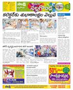 Nalgonda Constituencies