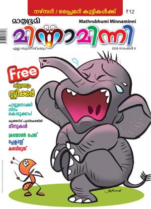 Minnaminni-2016 November 9