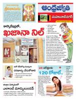 Mahabubnagar District