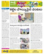 Adilabad Constituencies