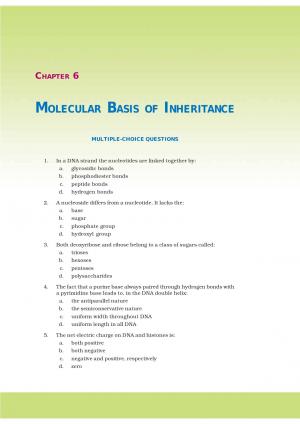 NCERT Exemplar Questions & Solutions CBSE Class 12 Biology Chapter 6 Molecular Basis of Inheritance