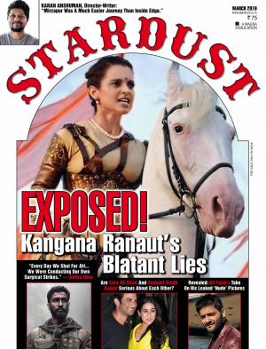 STARDUST AWARDS 2015