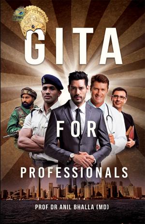 Gita For Professionals