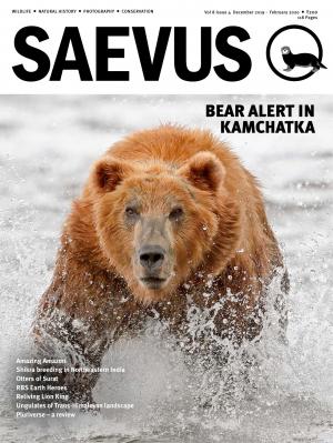 SAEVUS MARCH-MAY 2017