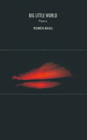 Big Little World - Poems