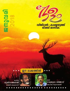 E-Delam Magazine January 2018