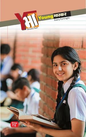 नागपुर यंग भास्कर 