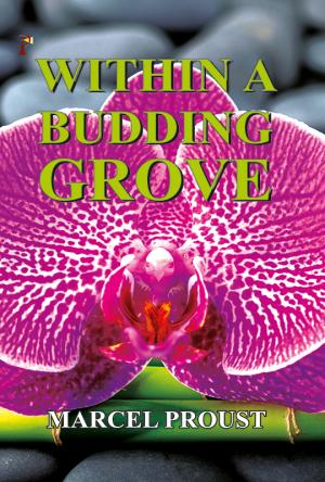 Within A Budding Grove